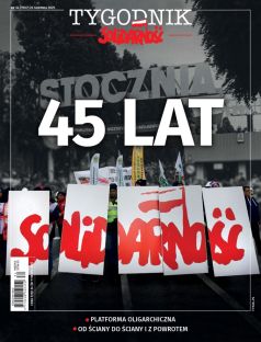 TS33