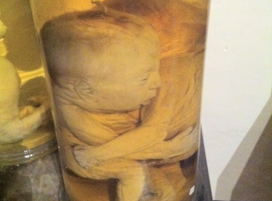 nie ma takiego zdjęcia