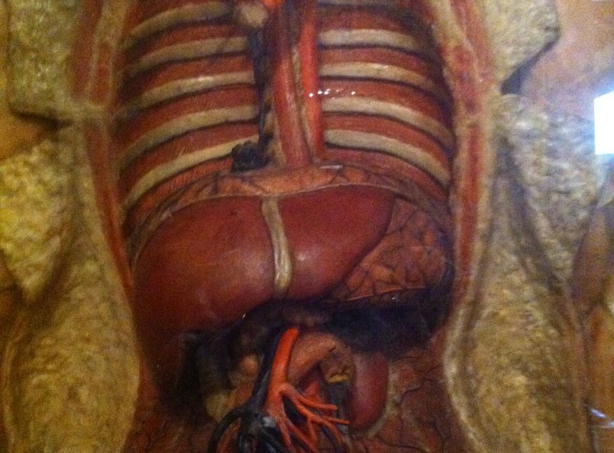 nie ma takiego zdjęcia