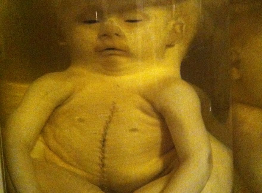 nie ma takiego zdjęcia