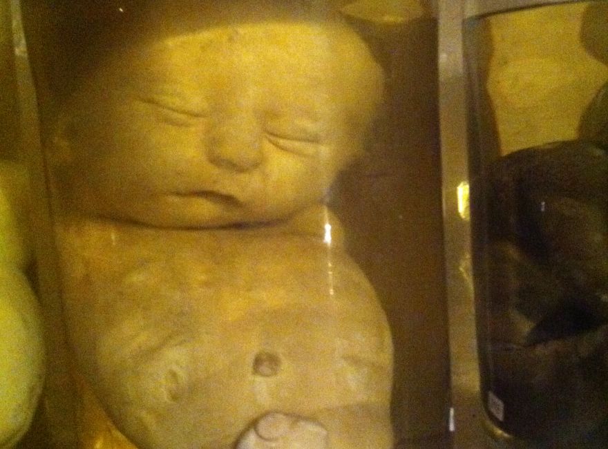 nie ma takiego zdjęcia