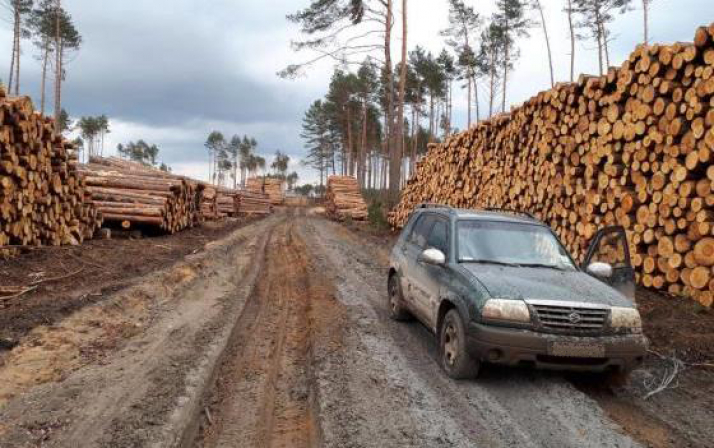 Kilometrówka trwa od 14 lat, niezmiennie. Leśnicy mówią – dosyć!