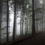 IMG-20170902-WA0000