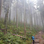 IMG-20170902-WA0003