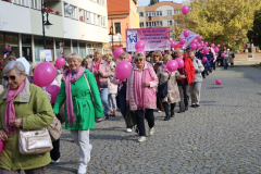Marsz ku Zdrowiu (37)