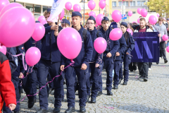 Marsz ku Zdrowiu (39)