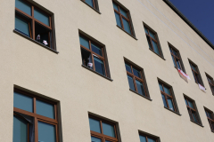 ZUS (50)