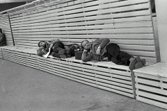 Photo36_5