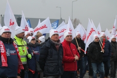 volkswagen pikieta (62)