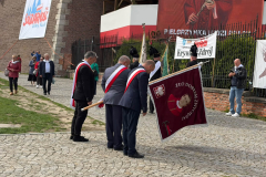 PLP (11)