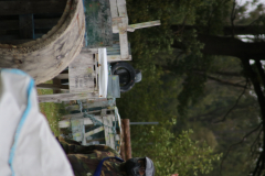 IMG_0261
