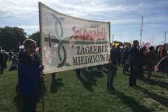 plp 2019 (13)