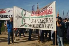 plp 2019 (23)