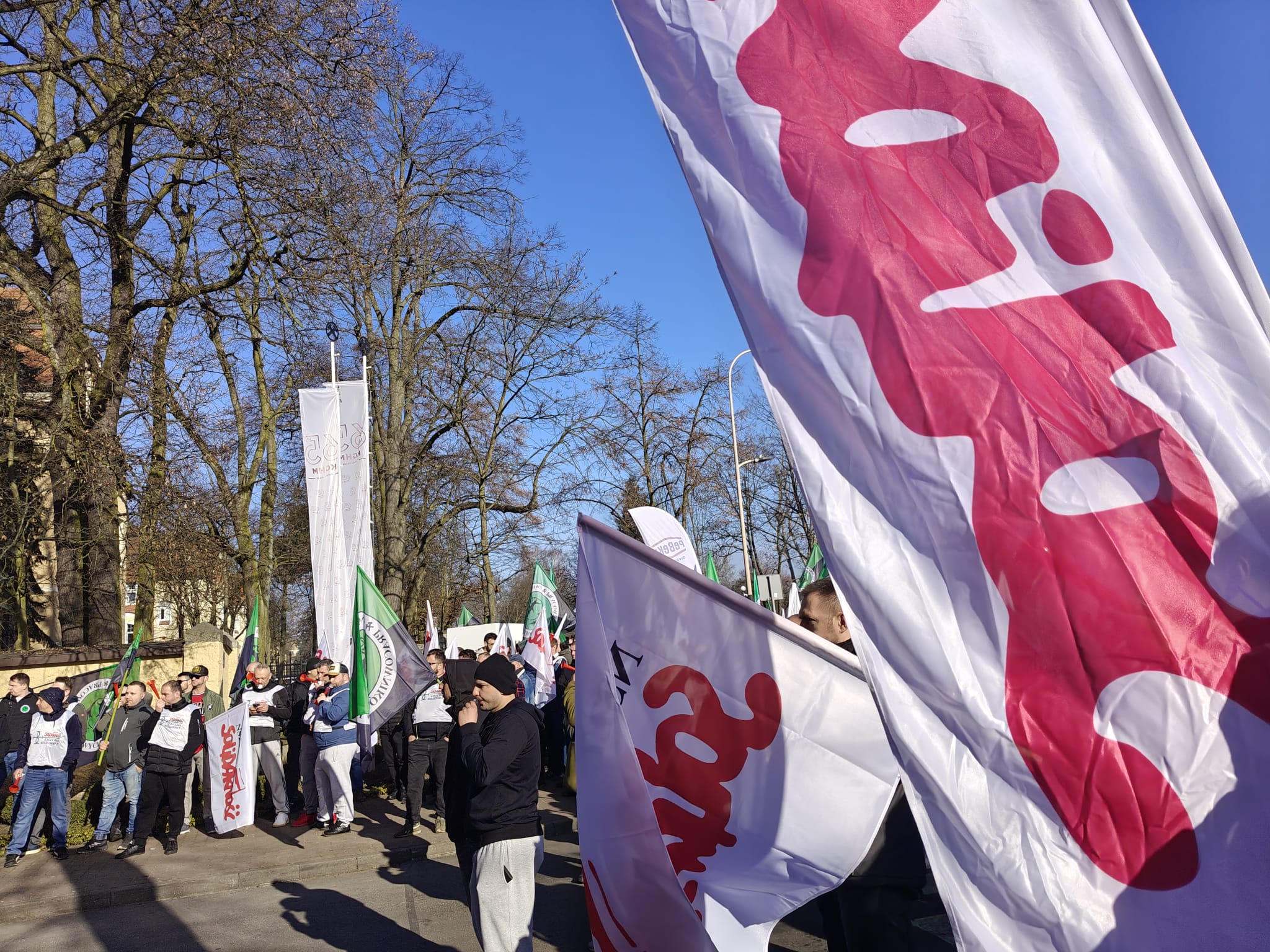 WhatsApp Image 2026-03-13 at 09.50.01 (1)