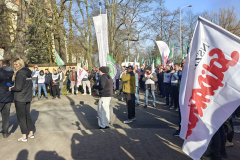 WhatsApp Image 2026-03-13 at 09.50.09 (1)