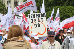 manifestacja (132)
