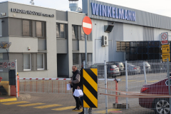 Solidarność w LSSE (36)