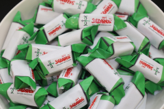 Targi Pracy Złotoryja (49)