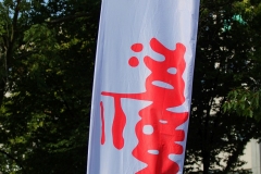 IMG_6449A (5)