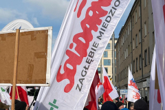 WhatsApp Image 2026-02-20 at 14.19.22 (1)