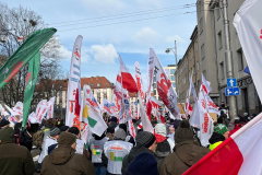 WhatsApp Image 2026-02-20 at 14.19.26 (2)