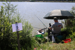LR3A3163