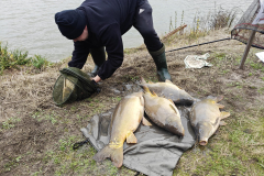 IMG-20251011-WA0108