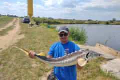 IMG_20220611_134729130