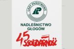Wybory uzupełniające w Organizacji Zakładowej NSZZ „Solidarność w Nadleśnictwie Głogów