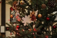 Pragnęli, aby Polska stała się wolnym krajem