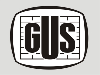 Aktywność ekonomiczna ludności Polski. Raport GUS