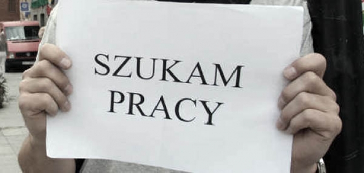 Rekord ofert na Pracuj.pl