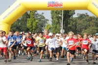 26. Bieg Solidarności we Wrocławiu