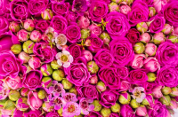 Piotr Duda w Dniu Kobiet: Bez Was "Solidarność" nie byłaby tak wspaniała