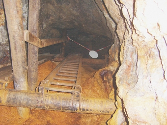 Badania w górnictwie potwierdzają: związki zawodowe ratują życie!