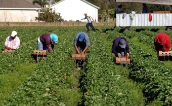 Centralny Instytut Ochrony Pracy potwierdza wątpliwości NSZZ Solidarność