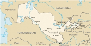Kurczaki zamiast pensji