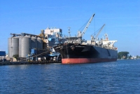 Będzie strajk w Bałtyckim Terminalu Zbożowym w Gdyni?