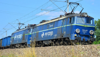 fot. wkp_karolszapsza40