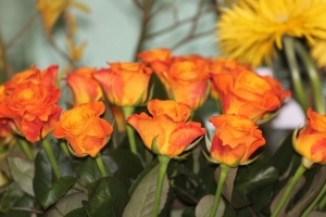 Podziękowania dla Sekretariatu Ochrony Zdrowia