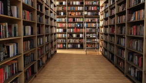 Autonomicznie o mobbingu w bibliotekach